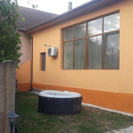 Casa Ovi Si Simo Hotel Haţeg Buitenkant foto