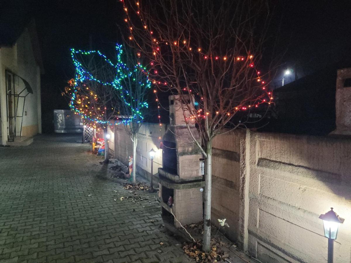 Casa Ovi Si Simo Hotel Haţeg Buitenkant foto