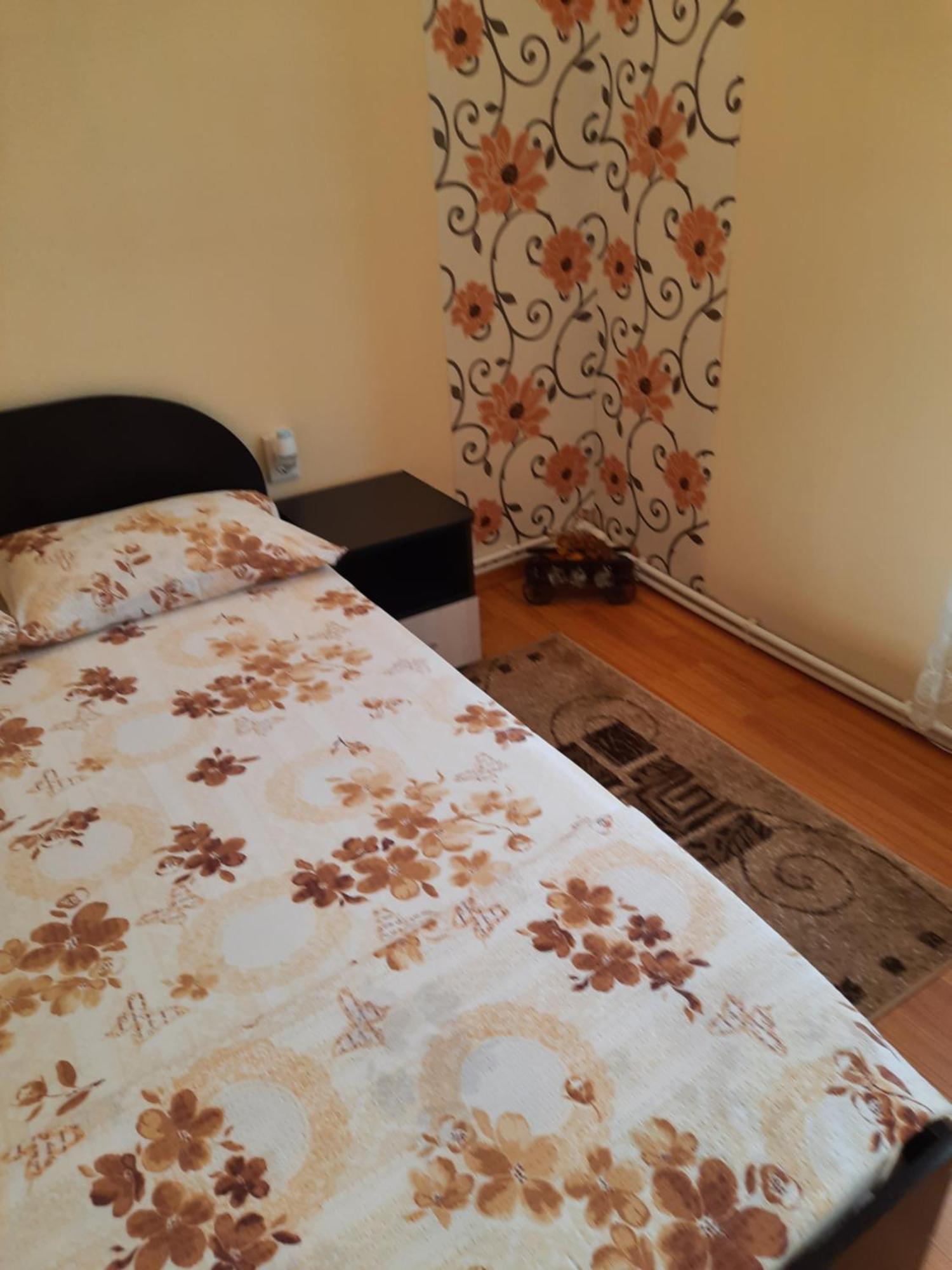 Casa Ovi Si Simo Hotel Haţeg Kamer foto