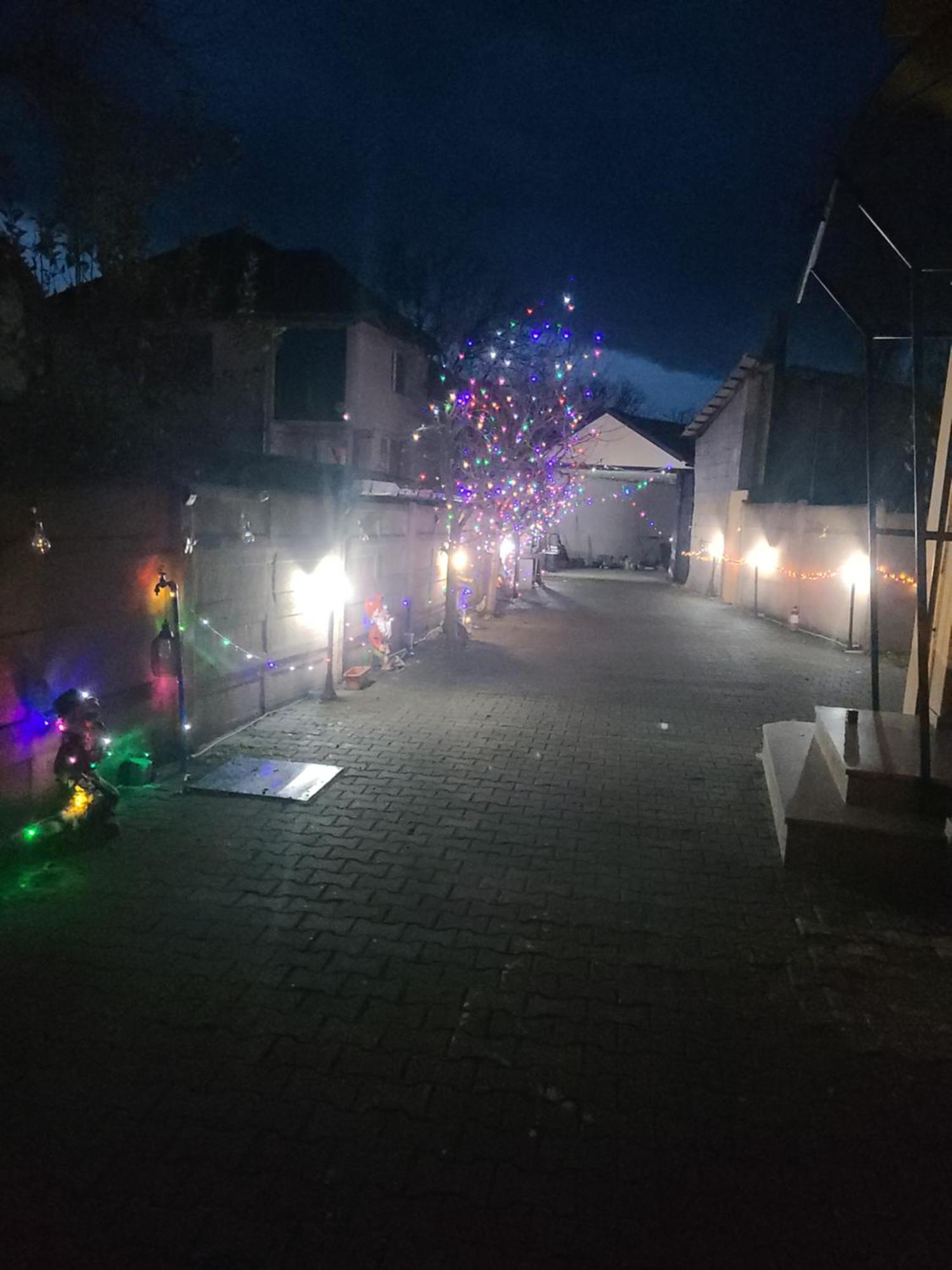 Casa Ovi Si Simo Hotel Haţeg Buitenkant foto