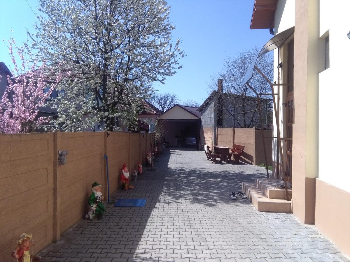 Casa Ovi Si Simo Hotel Haţeg Buitenkant foto