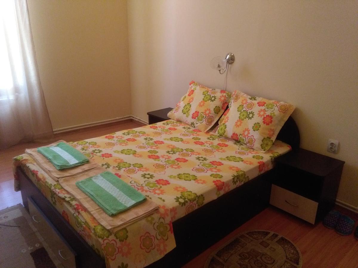 Casa Ovi Si Simo Hotel Haţeg Buitenkant foto