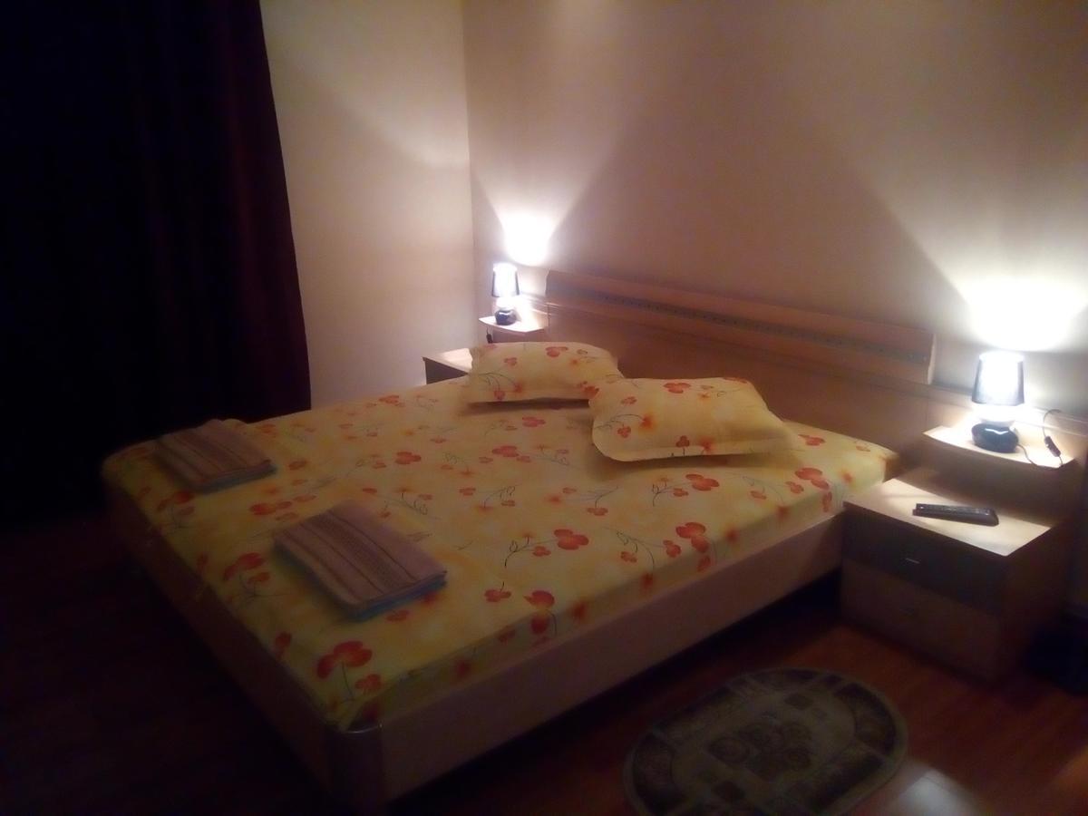 Casa Ovi Si Simo Hotel Haţeg Buitenkant foto