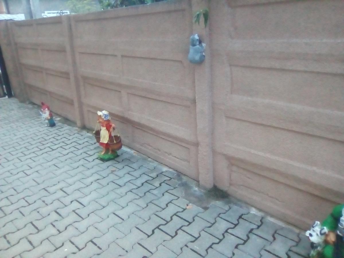 Casa Ovi Si Simo Hotel Haţeg Buitenkant foto