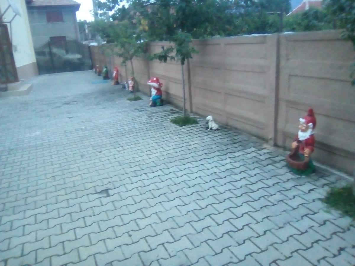 Casa Ovi Si Simo Hotel Haţeg Buitenkant foto