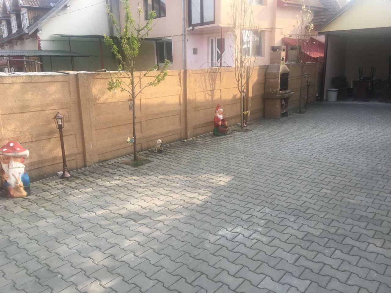 Casa Ovi Si Simo Hotel Haţeg Buitenkant foto