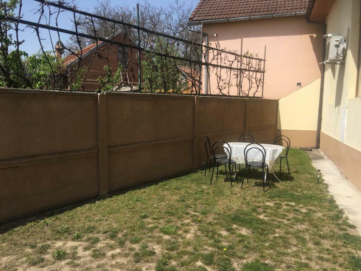 Casa Ovi Si Simo Hotel Haţeg Buitenkant foto