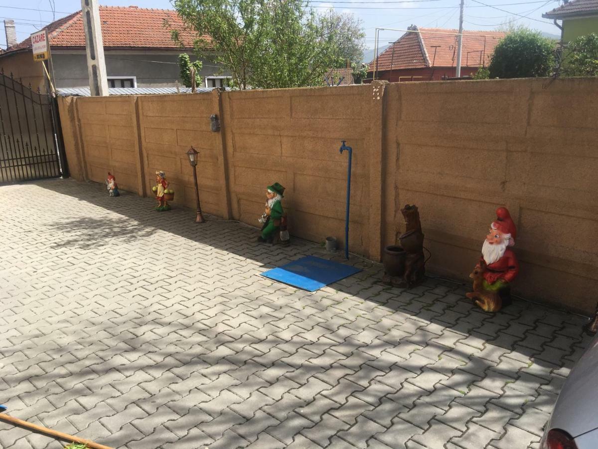Casa Ovi Si Simo Hotel Haţeg Buitenkant foto