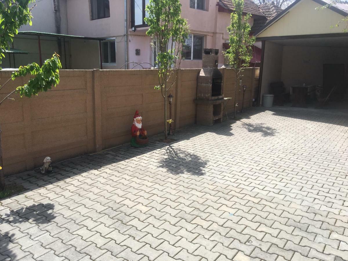 Casa Ovi Si Simo Hotel Haţeg Buitenkant foto