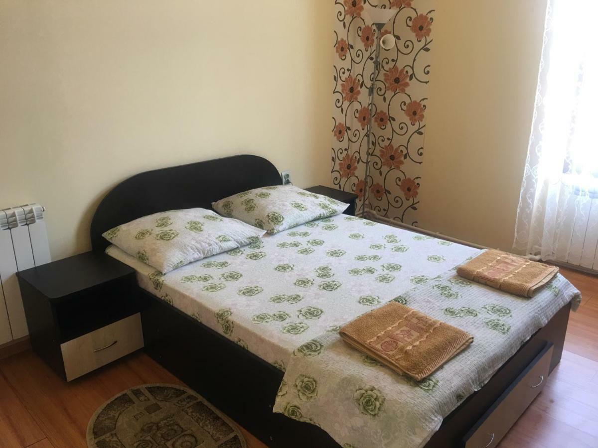 Casa Ovi Si Simo Hotel Haţeg Buitenkant foto