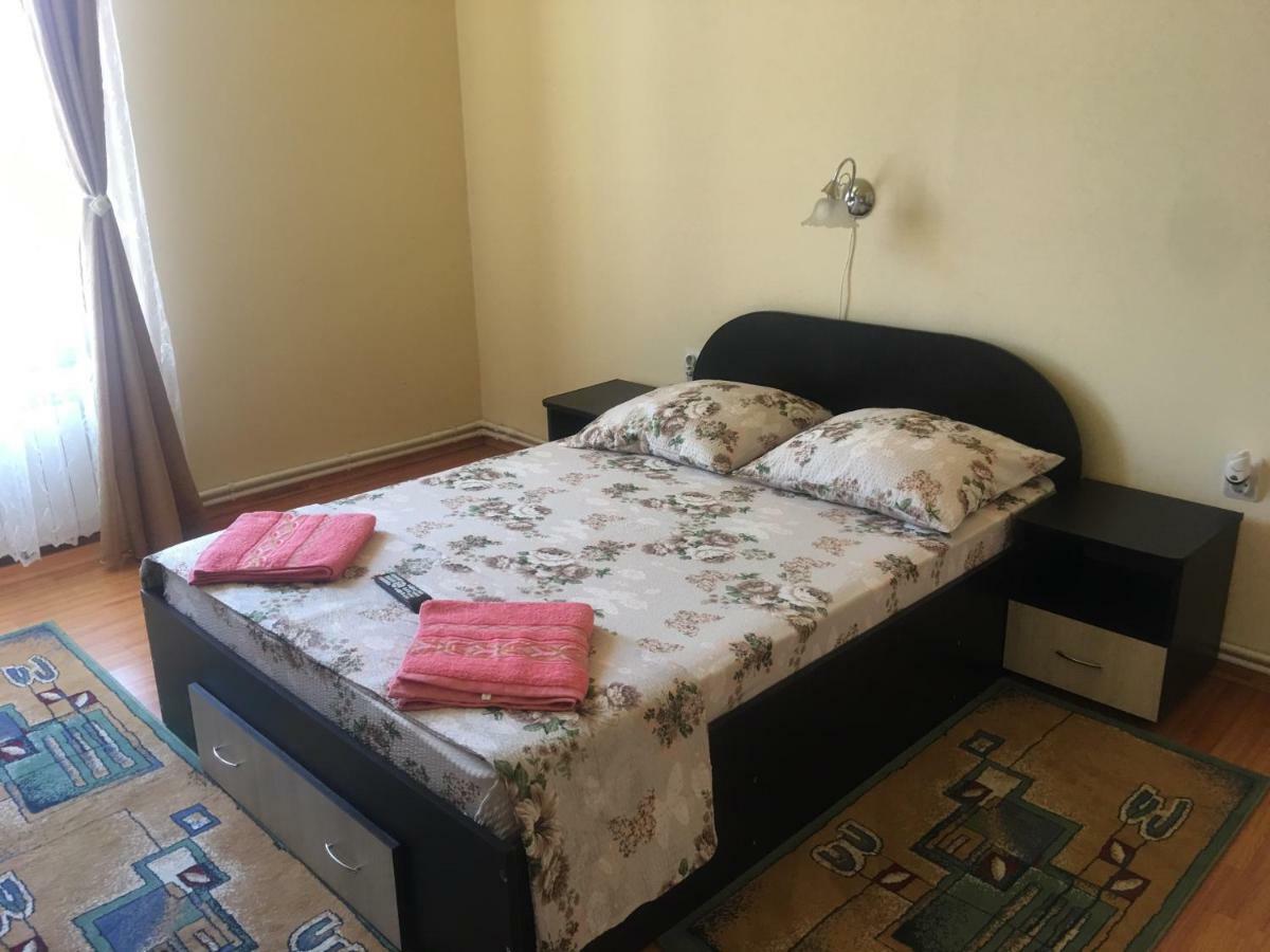 Casa Ovi Si Simo Hotel Haţeg Buitenkant foto