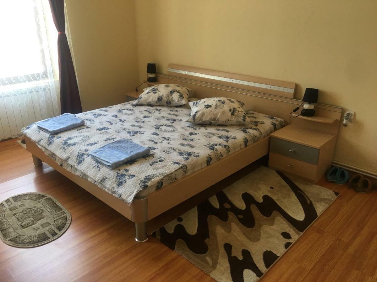 Casa Ovi Si Simo Hotel Haţeg Buitenkant foto