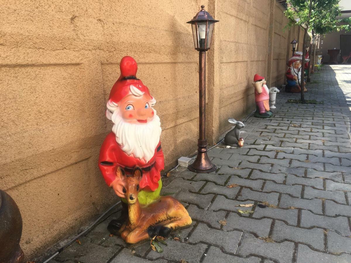 Casa Ovi Si Simo Hotel Haţeg Buitenkant foto