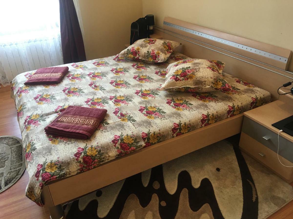 Casa Ovi Si Simo Hotel Haţeg Buitenkant foto