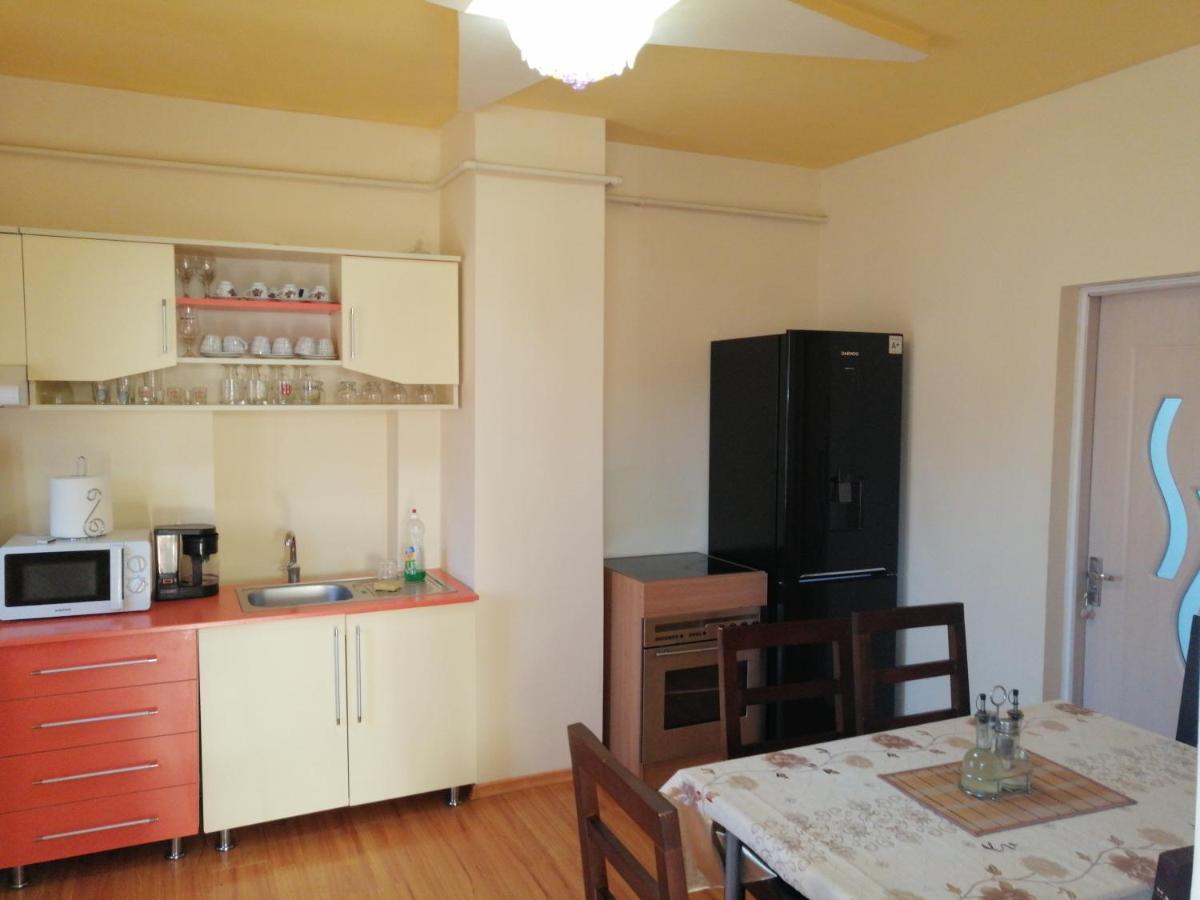 Casa Ovi Si Simo Hotel Haţeg Buitenkant foto