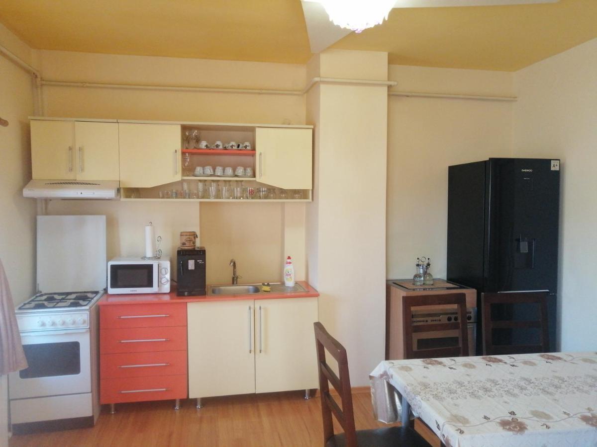 Casa Ovi Si Simo Hotel Haţeg Buitenkant foto